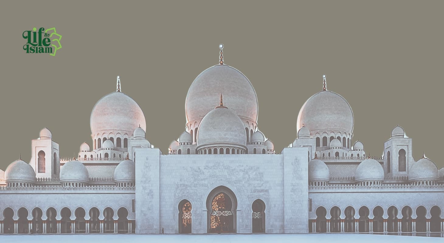 Prophet Img!