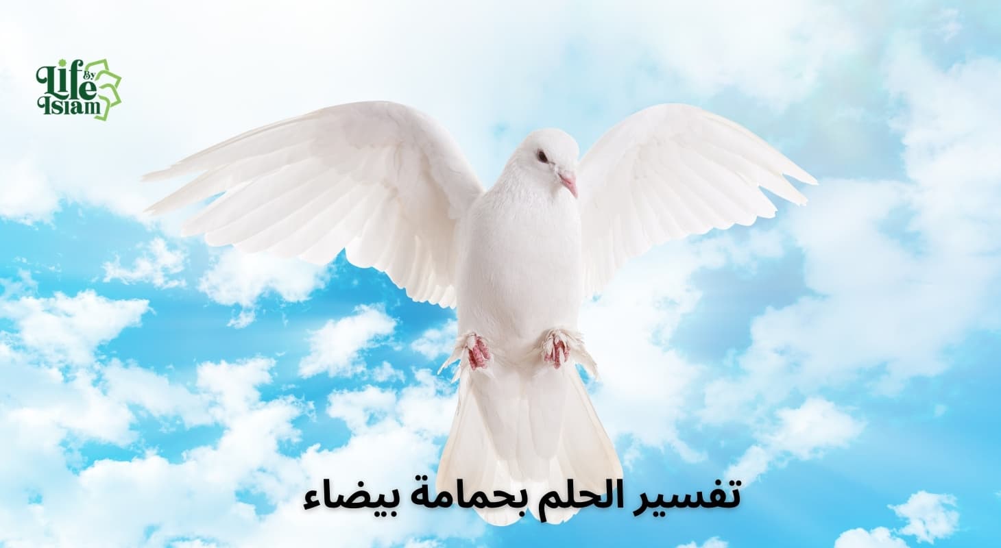 Prophet Img!