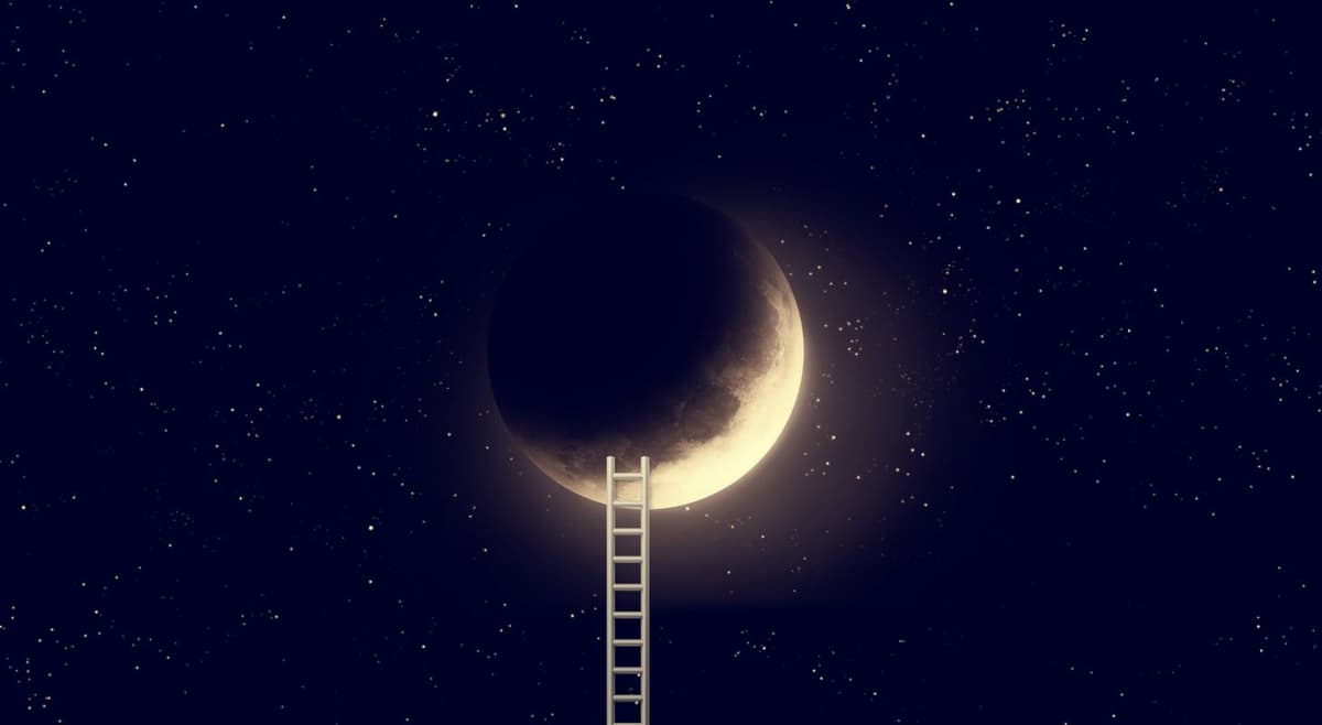Dream Detail