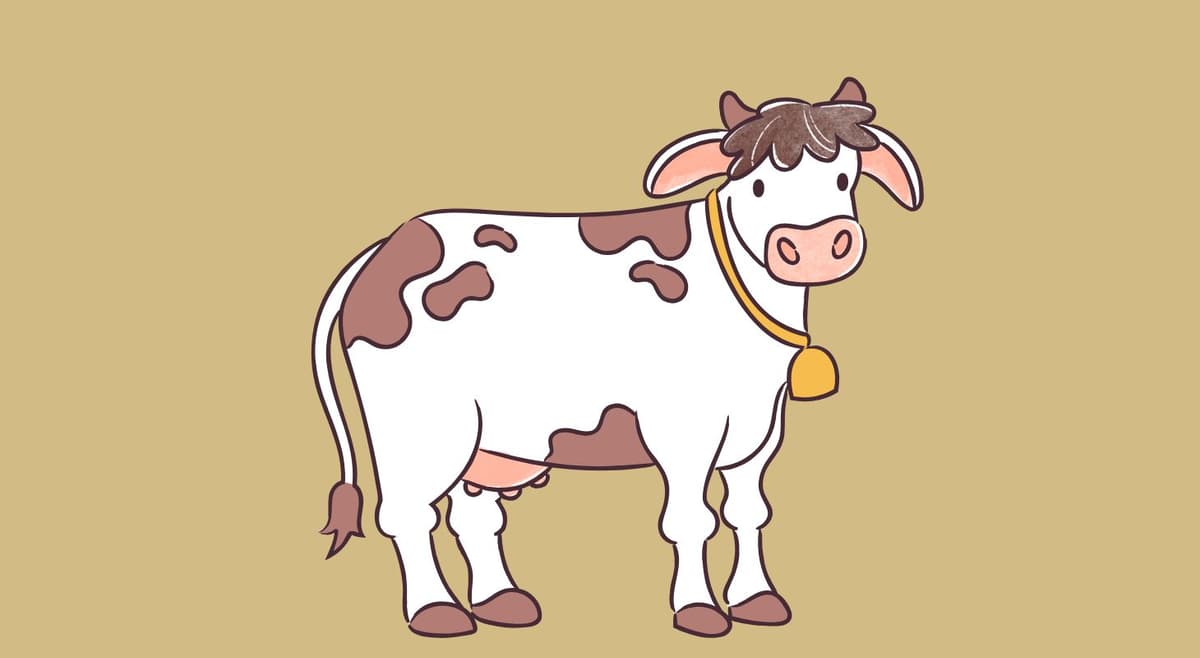 Dream Detail