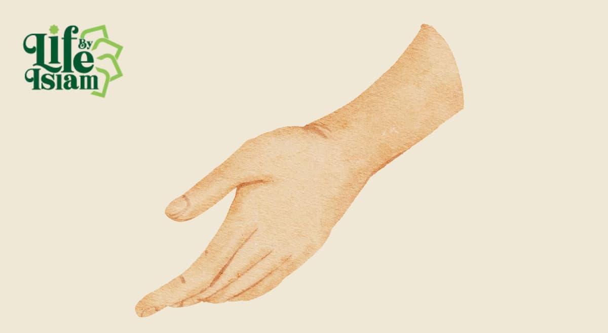 Dream Detail